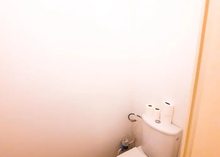 Apartamento Le Cosy Thurot : Proche Gare, Familial Et Spacieux Dijon